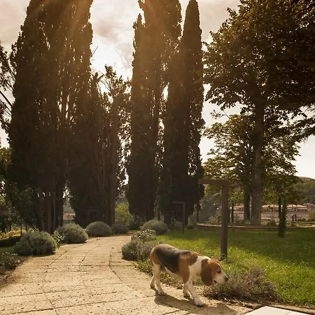 Etruria & Natural Montepulciano