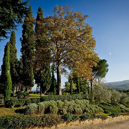Hotel Etruria & Natural 4*